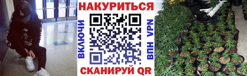 Шишки марихуана план  МЕГА зеркало  Задонск 